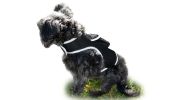 Observe Pet Leisurely with Pet Tracker Realtime GPS Dog Tracking Collar Mount Device Size:L