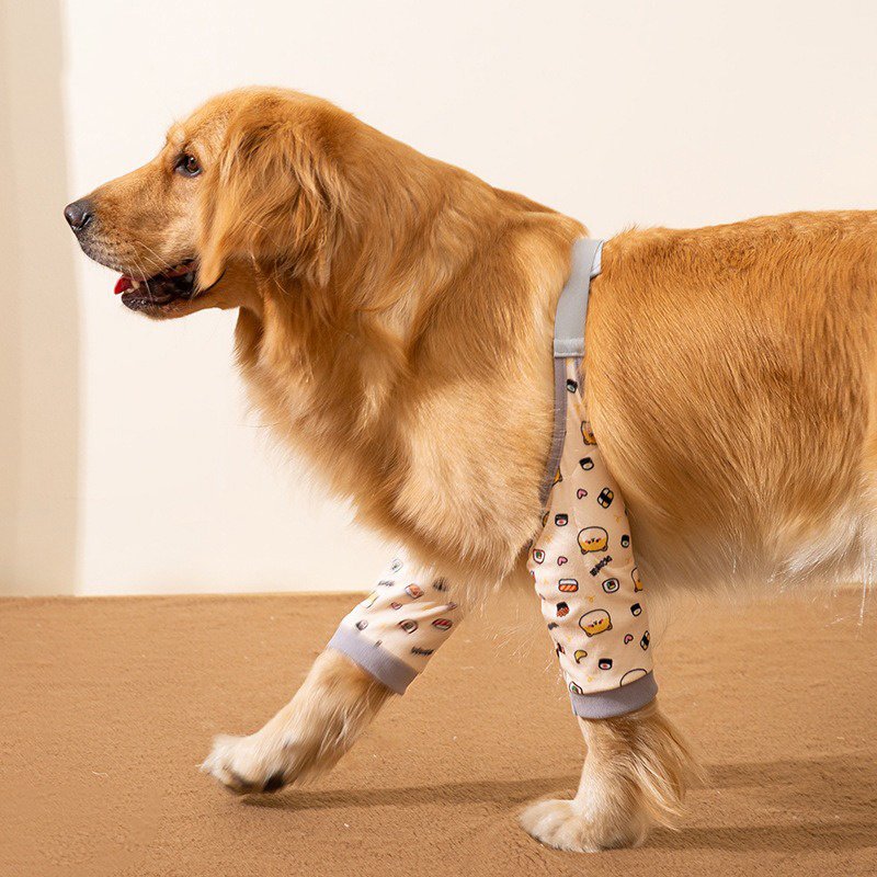 Dogs Knee Protector Pad For Calluses, Dog Knee Brace, Front Elbow Support Wrap Dogs Knee Protector Pad For Calluses, Dog Knee Brace, Front Elbow Support Wrap